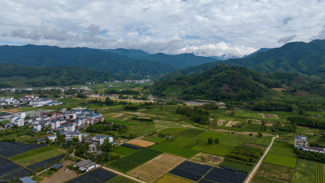 航拍武夷山绿色农田与茶园