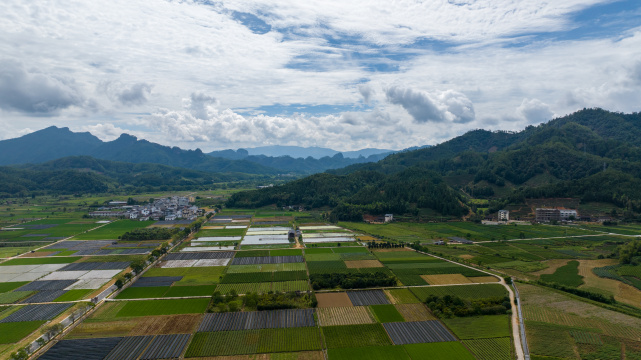 航拍武夷山绿色农田与茶园