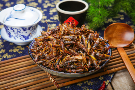 油炸蚂蚱