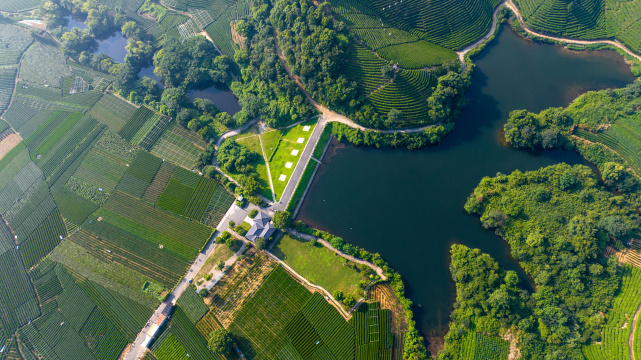 杭州龙坞茶园 光明寺水库