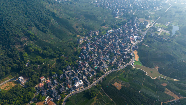 航拍杭州龙坞茶镇 乡村振兴