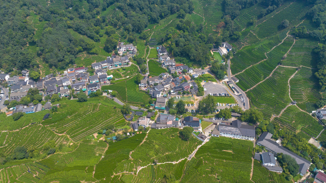 航拍杭州龙井村 西湖龙井茶园