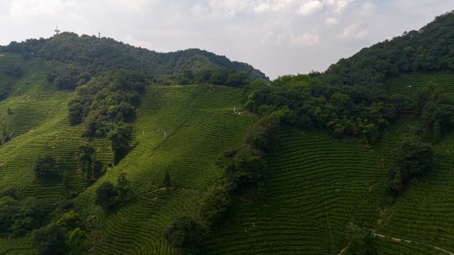 航拍杭州西湖龙井茶园 十里琅珰