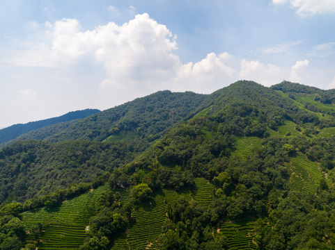 航拍杭州西湖龙井茶园 十里琅珰