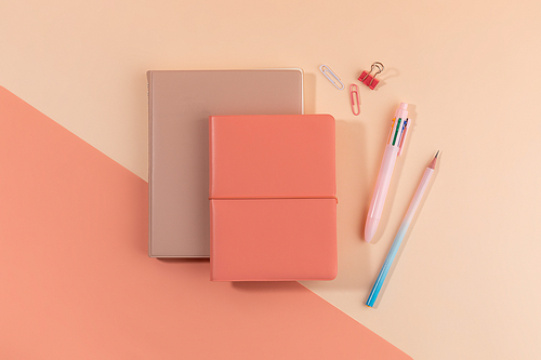 学习用品和装饰_日记和圆珠笔的照片图像 