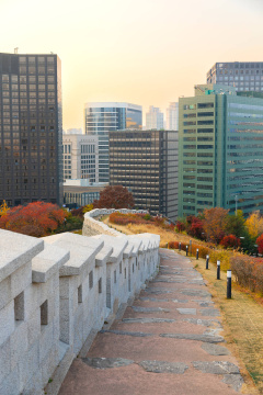 秋景——银草与杜勒吉尔照片图像 