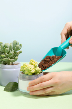 环境保护_塑料容器、小铲子、手和植物照片 