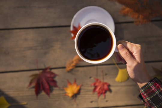 “autumn 040”常见释义为“秋季 040” 