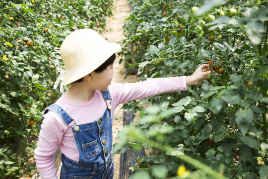 儿童农耕体验 112 