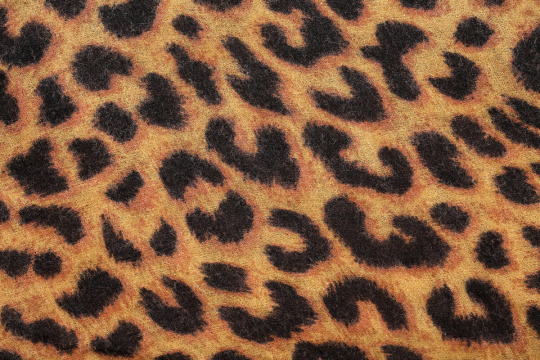 “Macro world 192”常见释义为“宏观世界 192” 