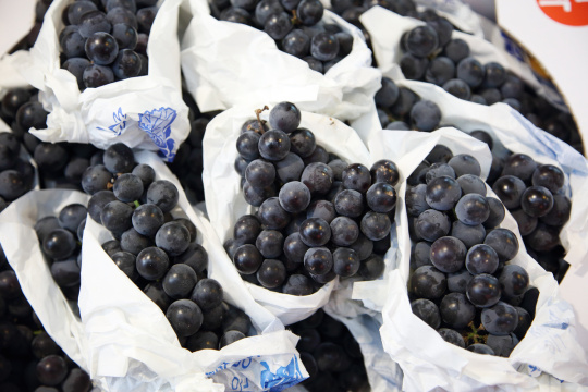 “Korean mood 067” 