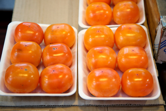 “Korean mood 066” 