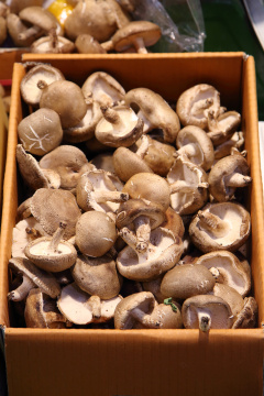 “Korean mood 063”常见释义为“韩国情绪 063” 