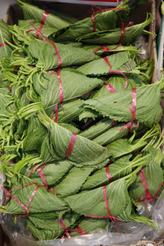 “Korean mood 048” 