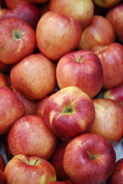 “Korean mood 043”常见释义为“韩国情绪 043” 