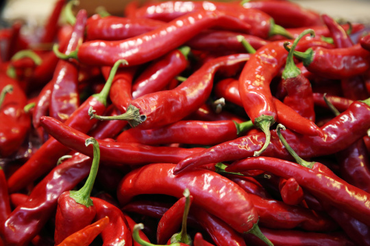 “Korean mood 028”  