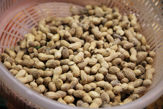 “Korean mood 007”常见释义为“韩国情绪 007” 