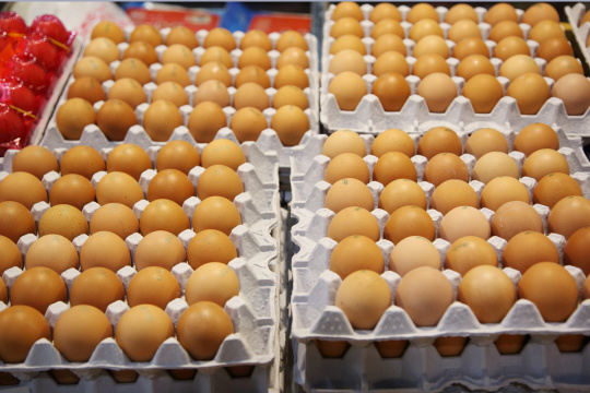 “Korean mood 006” 