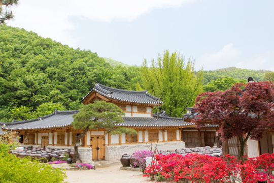 “Hanjeongsik 007”  