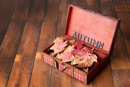 “Autumn objects 080”常见释义为“秋季物品 080” 