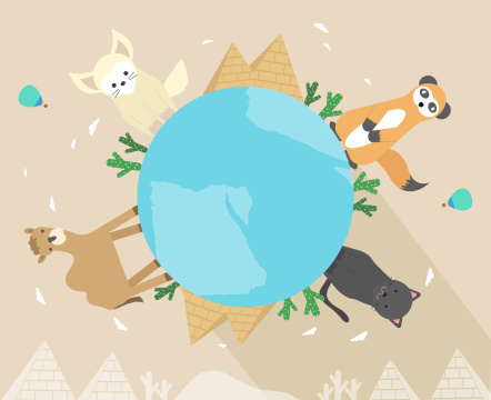 “World Animal 008”常见释义为“世界动物 008” 