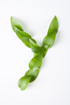 自然字体（Natural Font）150 