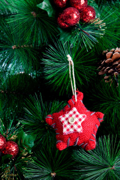 圣诞物品（圣诞道具）089 