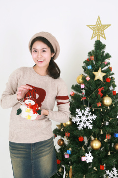 124 圣诞节/新年 1393 