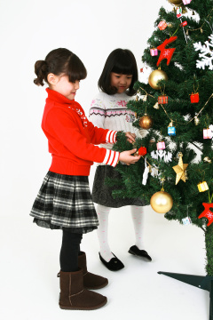 1840 年圣诞节/新年 