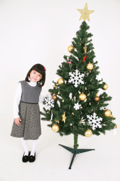 1886 年圣诞节/新年 