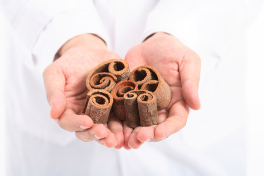 278 与东方医学相关的配件 296 