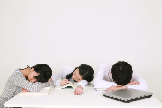 224 名大学生 2409  