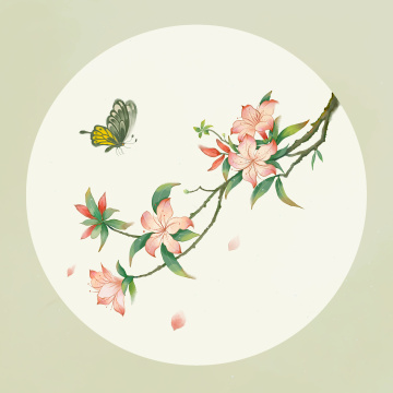 节气花卉之杜鹃花中国风插画