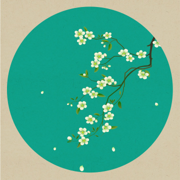 梨花中国风插画