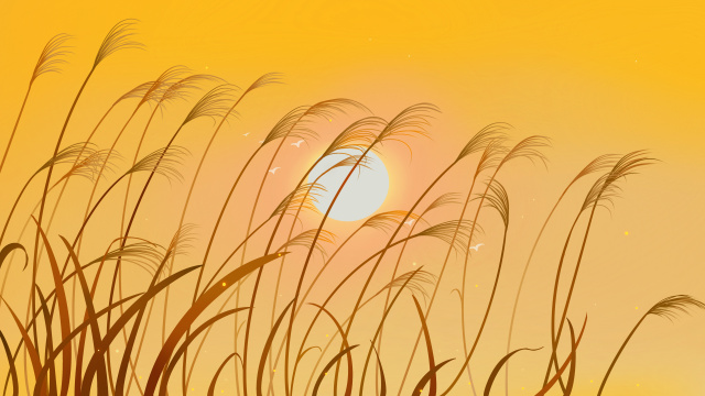 黄昏夕阳中芦苇手绘治愈插画