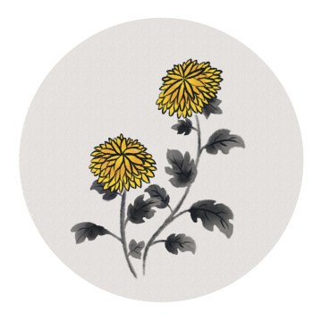 水墨菊花中国风插画