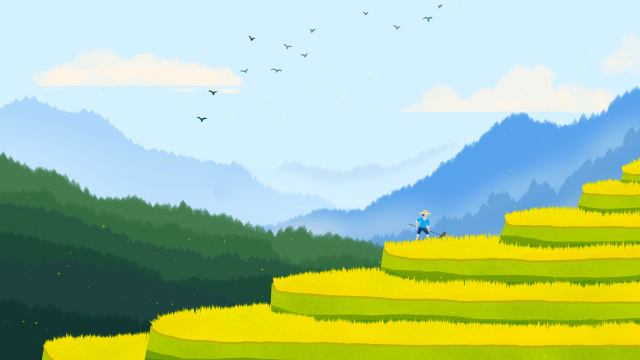 大山梯田水稻插画