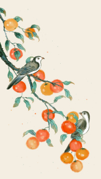 中国风秋天柿子插画