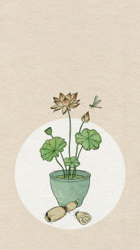 夏日荷花莲藕水墨画