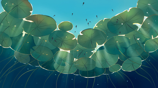 夏天水底仰视荷叶蝌蚪插画