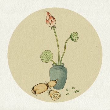 夏日荷花莲藕水墨画