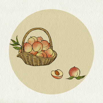 夏季时令水果桃子古风水墨插画