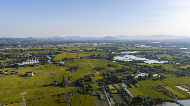 浙江湖州秋季稻田航拍 万亩良田 乡村振兴