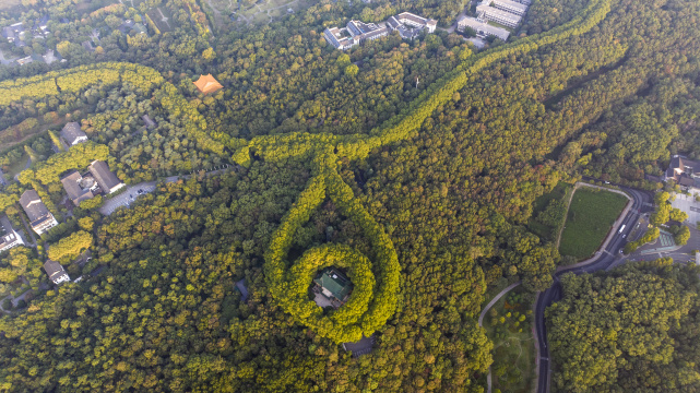 初秋的南京美龄宫