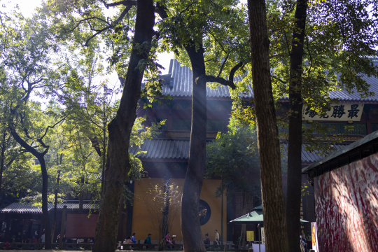 杭州灵隐寺 晨光照射 佛光普照 万丈光芒