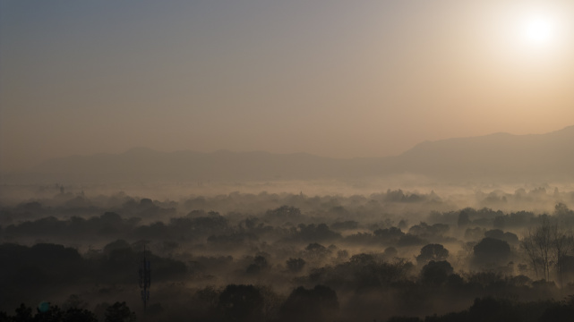 杭州西溪湿地云雾缭绕唯美水墨画