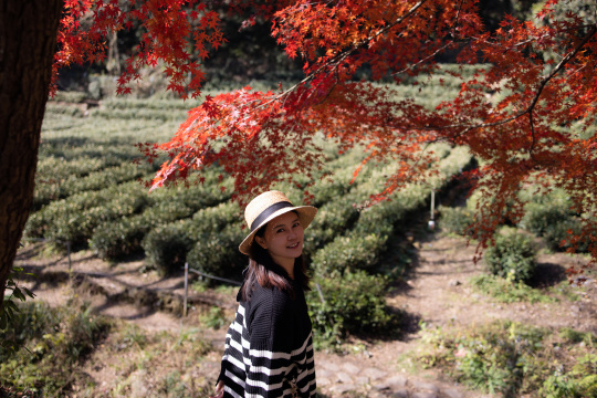 杭州九溪秋游赏红叶的亚洲女性