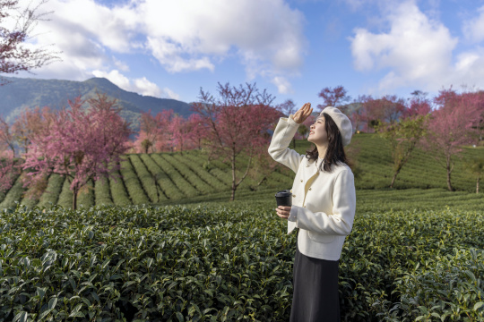 在樱花树下喝咖啡的年轻美女唯美肖像