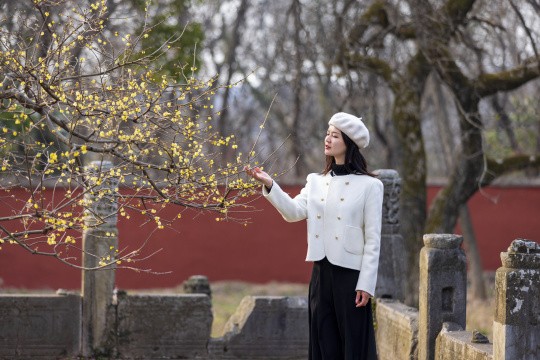 南京明孝陵站在红墙腊梅旁的女人