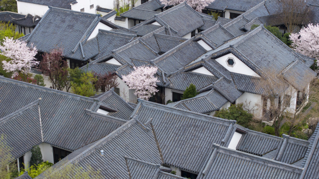 杭州阿里巴巴西溪园区古风徽派建筑樱花